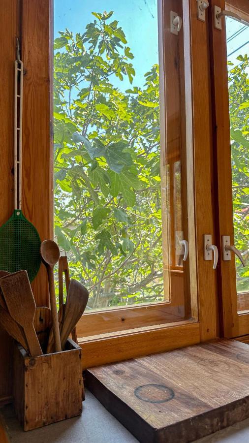 Camping Kromidovo Esterno foto
